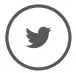 twitter icon