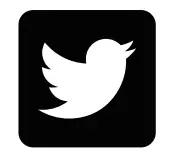 Twitter icon