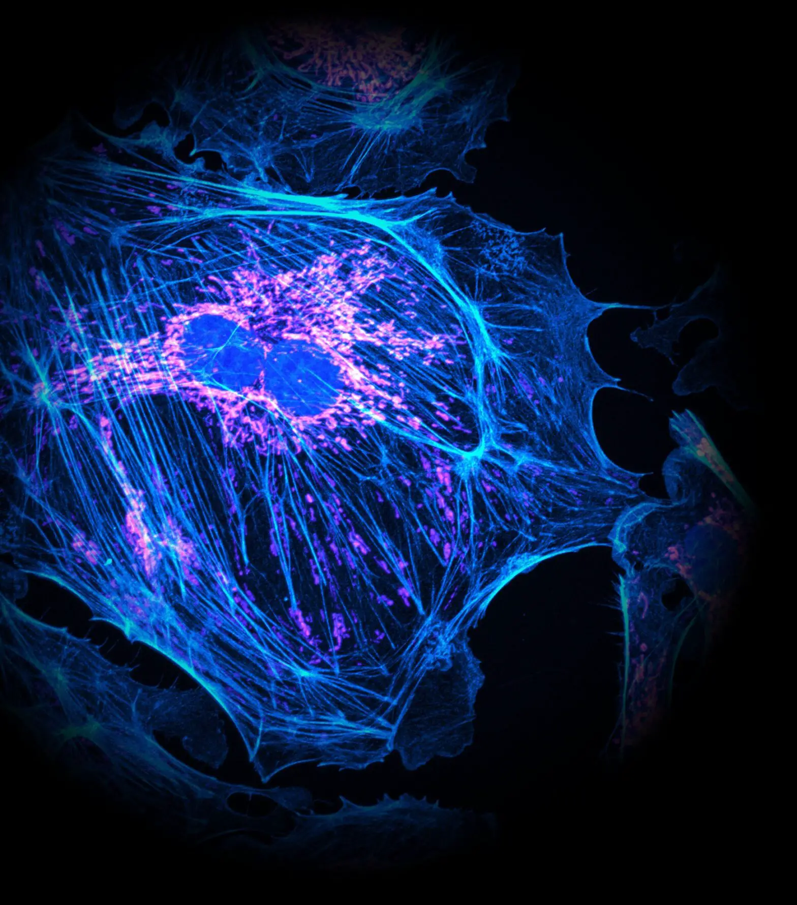 PCO MicroManager - cover