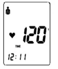 ADC 6021N Automatic Blood Pressure Monitor - suitable