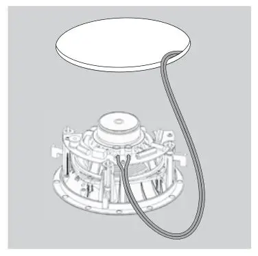 JBL Studio 2 6ICDT - Connect the speaker to the amplifier