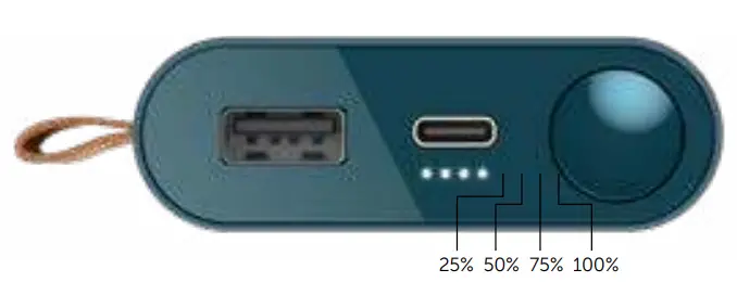 FRESH-N-REBEL-2PB12000-12000mAh-Powerbank-1