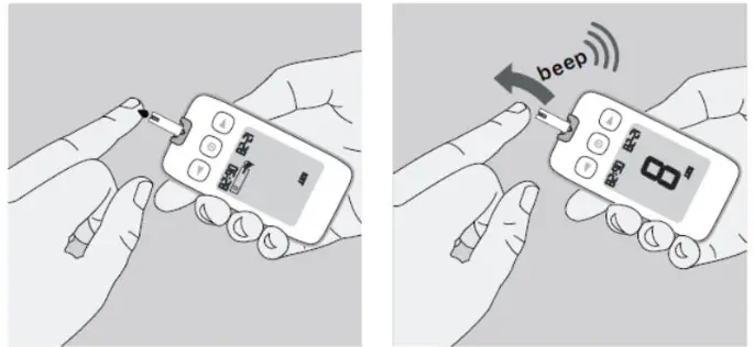 MedlinePlus KT21 BT Blood Beta-Ketone Monitoring - Applying Blood