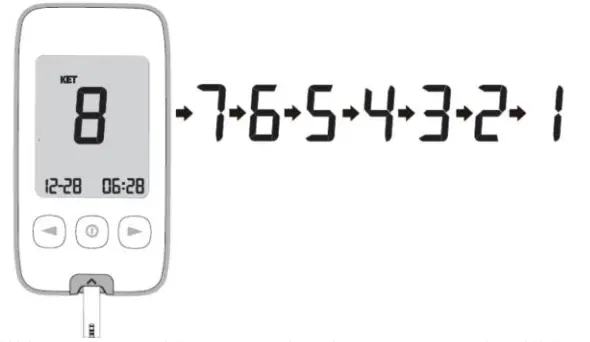 MedlinePlus KT21 BT Blood Beta-Ketone Monitoring - Measuring Process