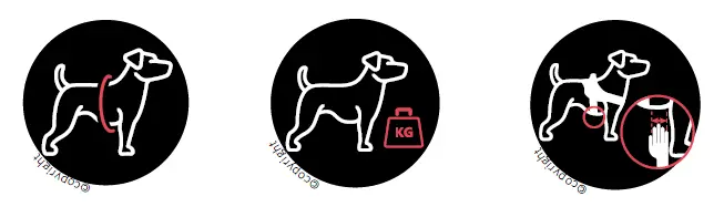 JULIUS-K9-IDC-Power-Harness-fig-2