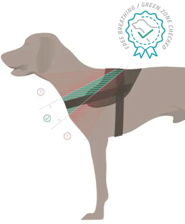 JULIUS-K9-IDC-Power-Harness-fig-7