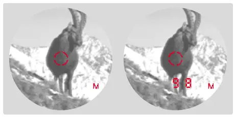 Leica 40810 10x32 Geovid Pro Rangefinder Binoculars fig 6