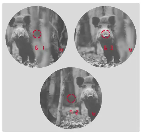 Leica 40810 10x32 Geovid Pro Rangefinder Binoculars fig 7