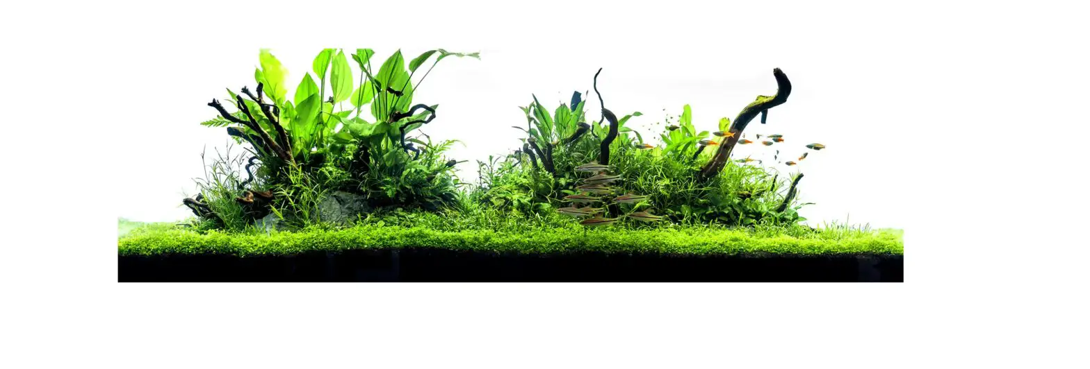 D-d Aqua Pro Aquariums For Freshwater And Aquascaper Aquarium Ranges Instruction Manual