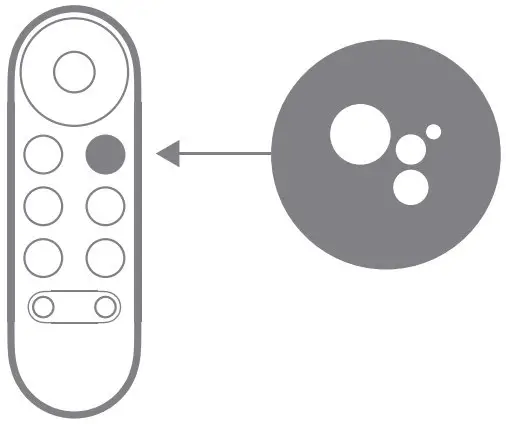 Google Assistant button