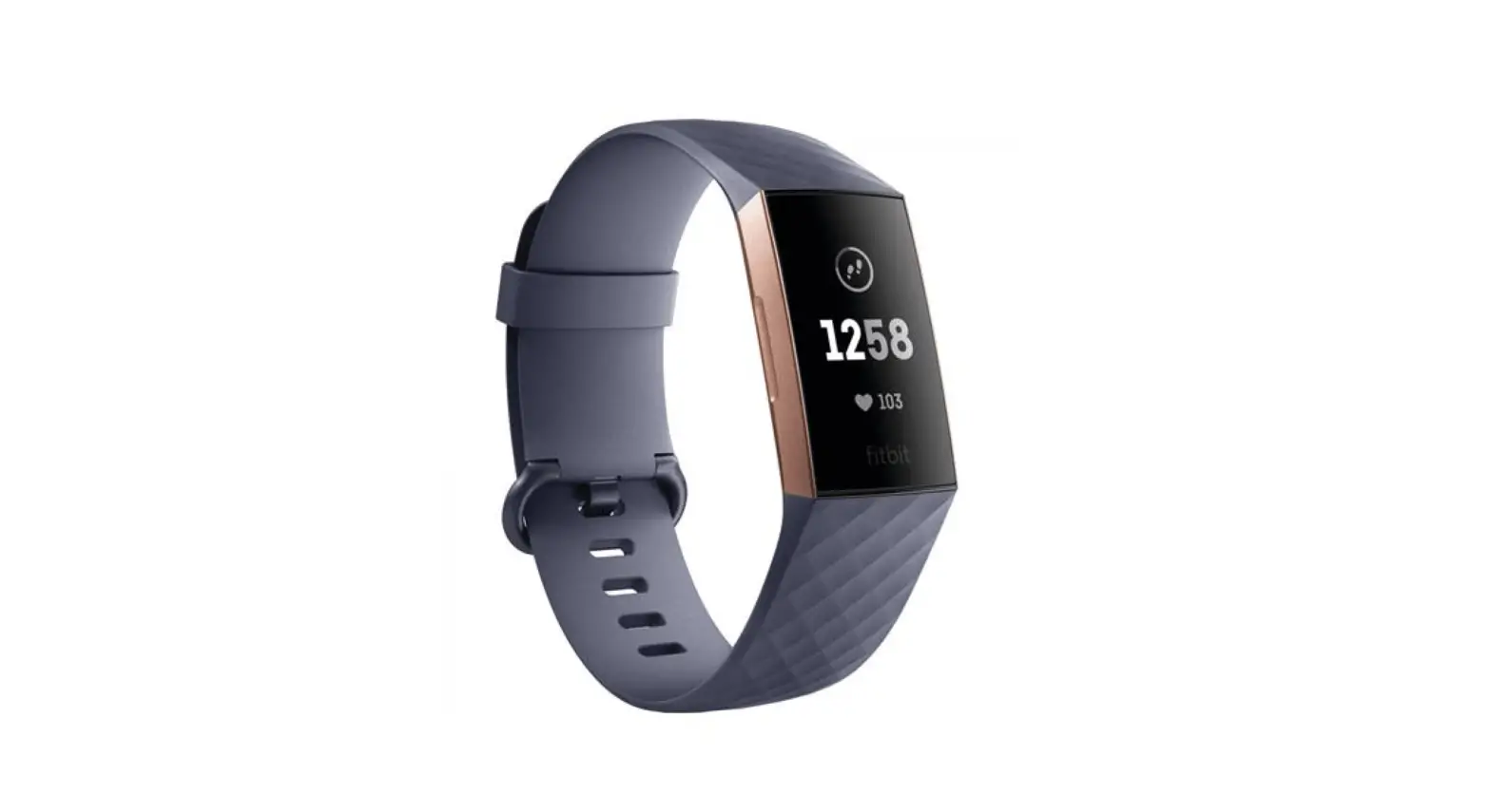 Fitbit Charge 3 Advanced Fitness Tracker User Manual