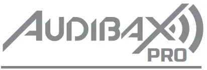 AUDIBAX - logo