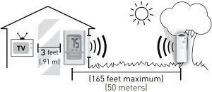 Important Placement Guidelines