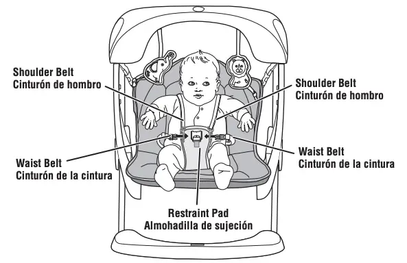 Using the Restraint System