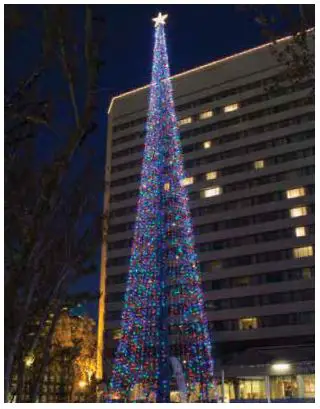 Dekra-Lite-Flag-Pole-Tree-of-Lights-FIG-2