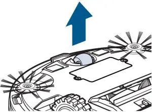 Removing and Cleaning