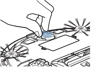 Removing and Cleaning