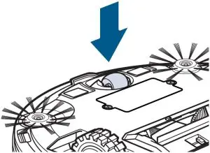 Removing and Cleaning