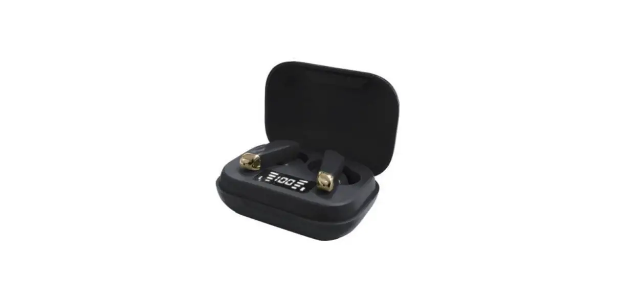 Dgl Group Twrc Wireless Earbuds And Charging Case User Guide