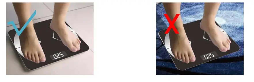 Welland-FG1916B-C-Electronic-Body-Fat-Scale-FIG-2