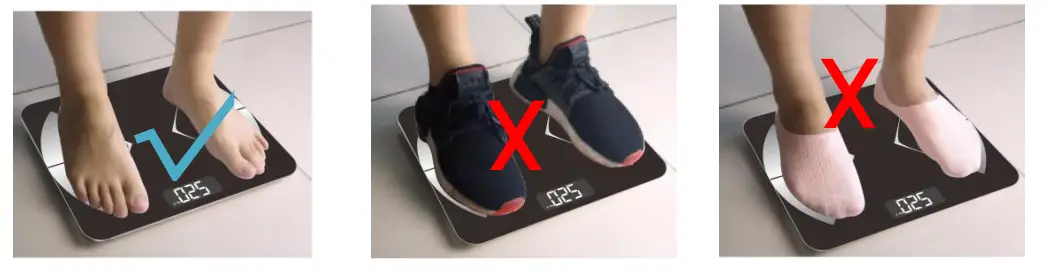 Welland-FG1916B-C-Electronic-Body-Fat-Scale-FIG-6