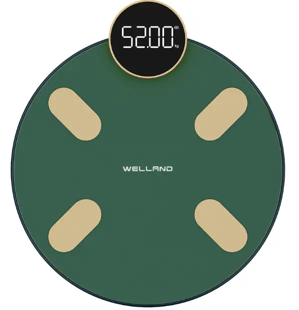 Welland-FG1916B-C-Electronic-Body-Fat-Scale-PRO