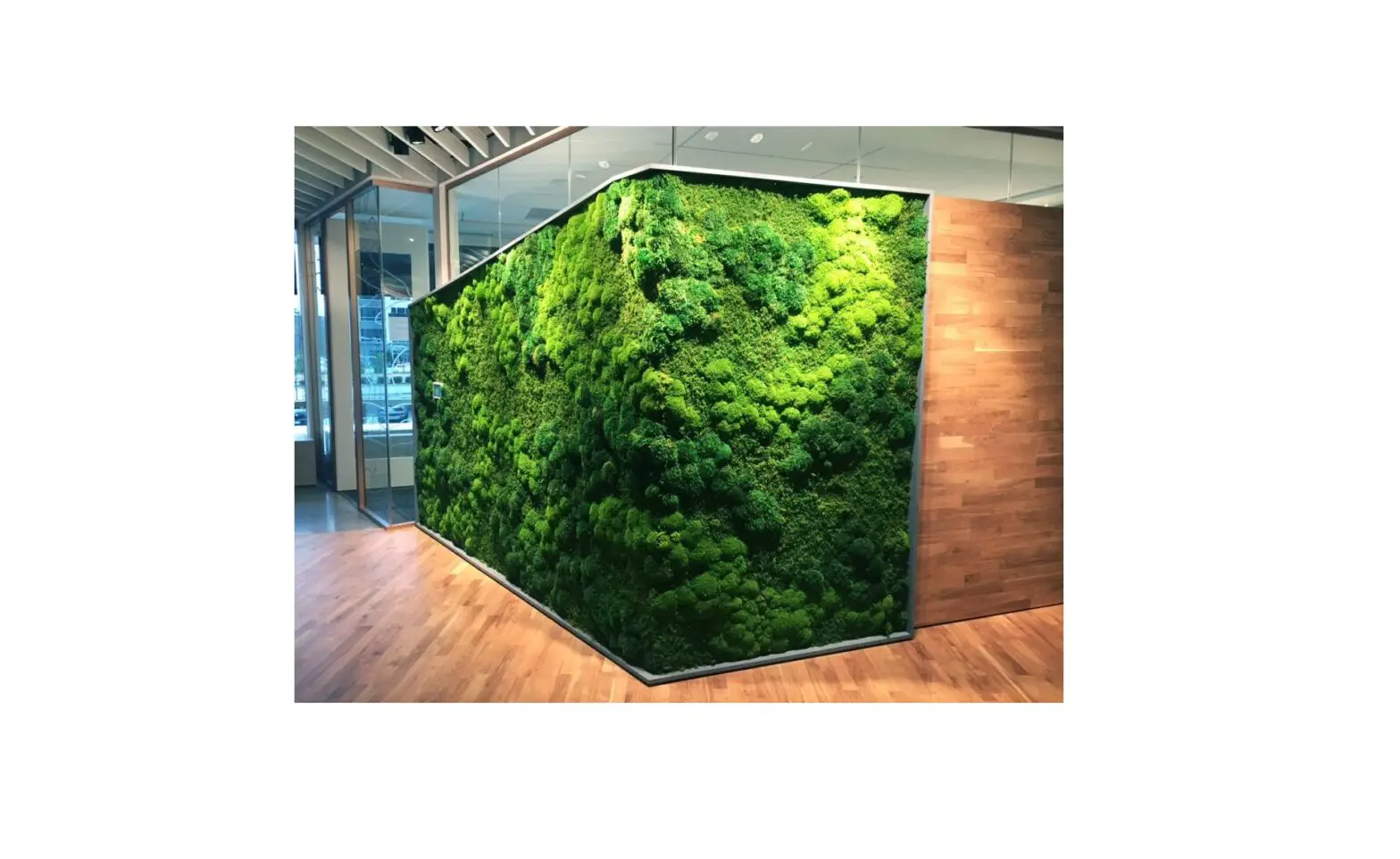 Sygns Moss And Plant Walls Panel Instruction Manual Sygns Moss And Plant Walls Panel Instruction Manual