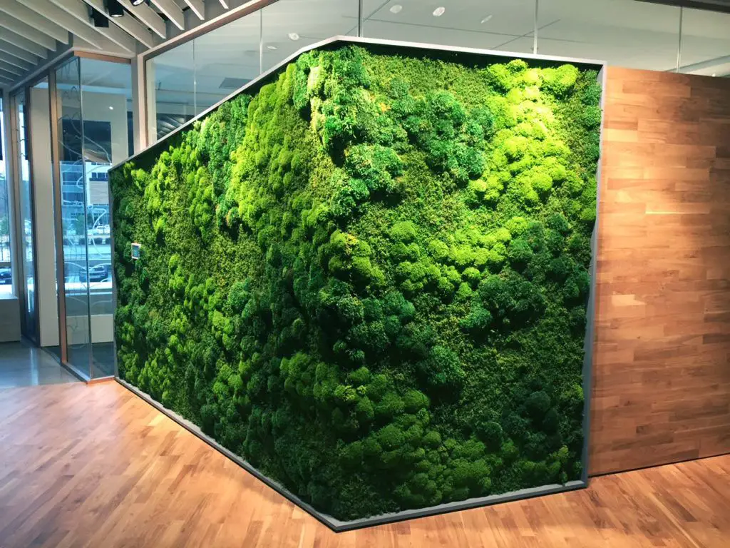 sygns Moss and Plant Walls Panel