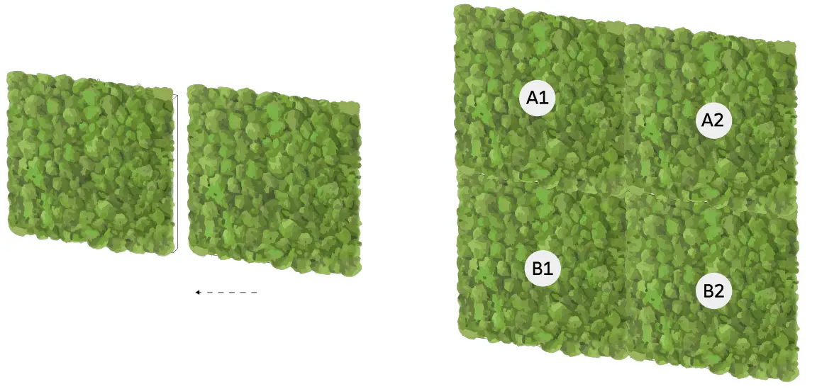 Moss Panel Preparations
