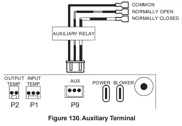 AVIA Gas Fired Pool and Spa Heater - fig 125