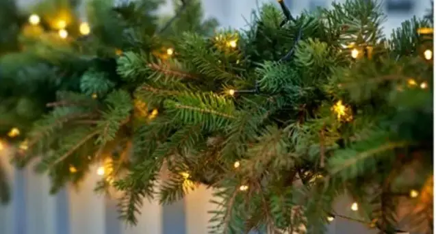 Ekvip 022438 Light Garlands Connectable System Instruction Manual Ekvip 022438 Light Garlands Connectable System Instruction Manual