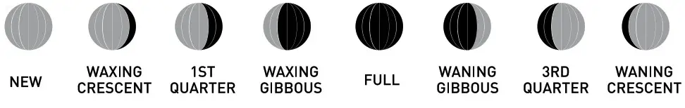 AcuRite 00621 Weather Forecaster - Moon Phase