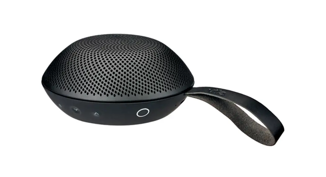 Vifa Reykjavik Speaker Owner's Manual