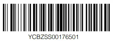 dji Action 2 Camera - BAR CO