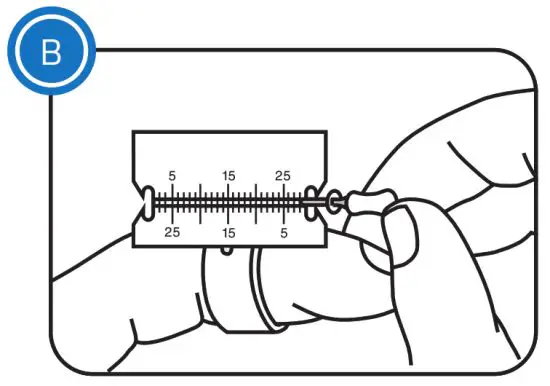 e-Ruler Endodontic File Measuring Ruler - When