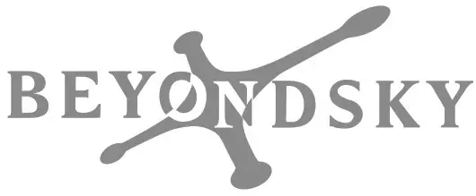 BEYONDSKY Intelligent Handheld Gimbal for Smartphone-