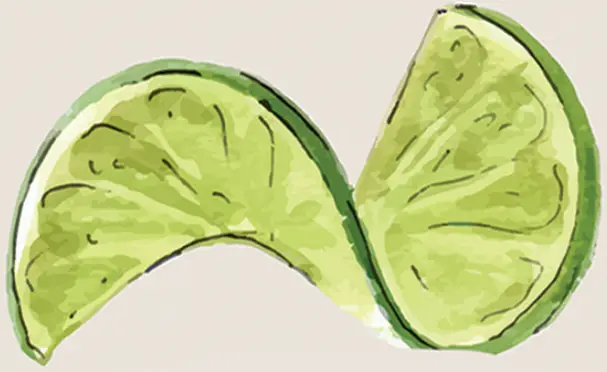 vego garden VB9N117BG 9 In 1 Modular Metal Raised Bed - Fig 1