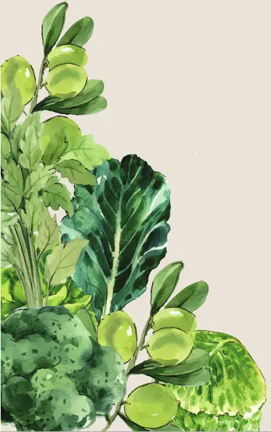 vego garden VB9N117BG 9 In 1 Modular Metal Raised Bed