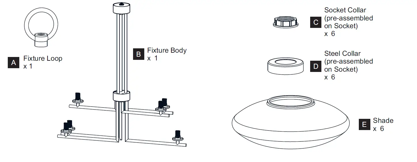 QUOIZEL QCH5577MBK 29 Inch Alexa 6 Light Matte Black Chandelier Ceiling Light 2