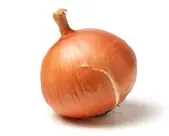 Onion