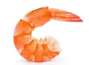 Shrimp