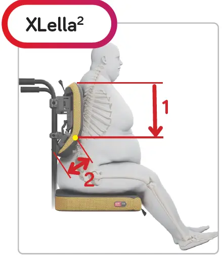 spex-XLella-Back-Support-FIG 10