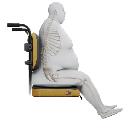 spex-XLella-Back-Support-FIG 6