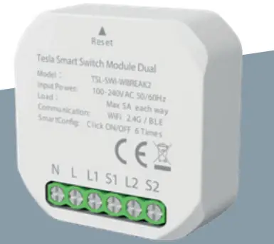 TESLA Smart Switch Module Dual