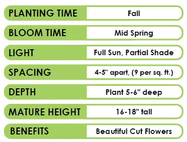 GSB-ECF-26-250-Tulip-Double-Mixed-Instruction-Manual-fig-1