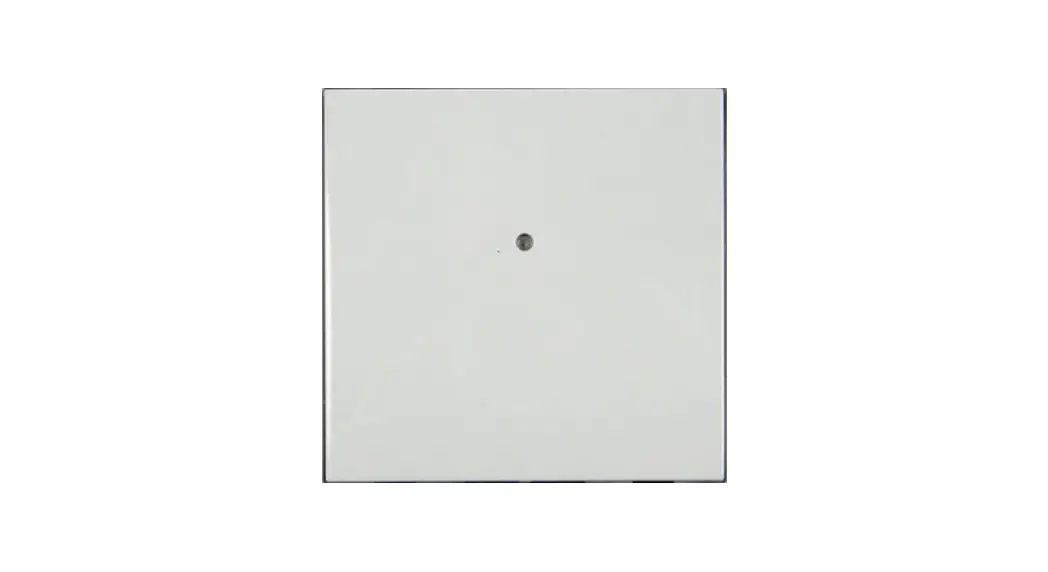 Inels Wsb3-40, Wsb3-40h Wall Switch Button Instruction Manual