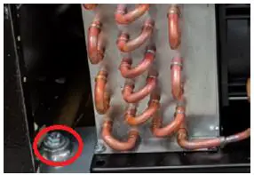 BEVERAGE-AIR FLG24HC-FLG-Glass-Froster-3