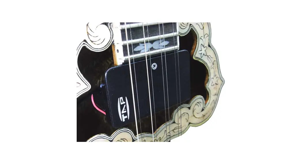 Tap Ts Lute Pickup Owner's Manual