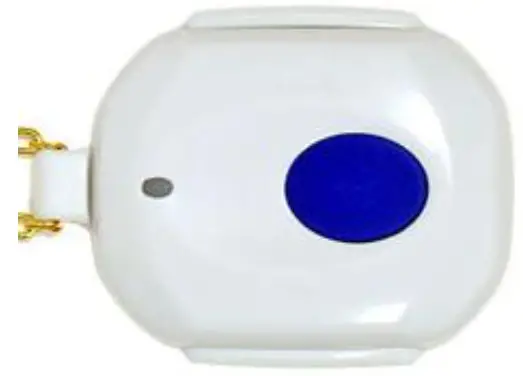 Ness Pty TR915 Universal Pendant KeyFob.