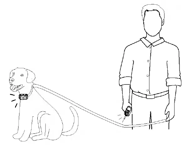 PATPET-P-COLLAR-920-Dog-Training-Collar-fig-14